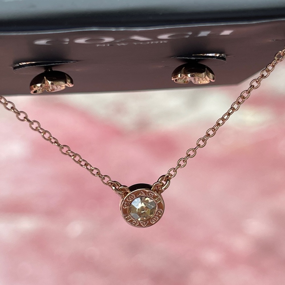 COACH Round Circle Necklace and Tea Rose Stud Earrings Set - Picture 9 of 14